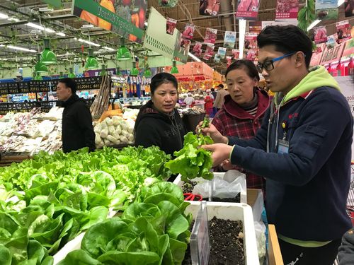 无人采摘蔬菜零售柜员机 农产品零售的智能化新篇章